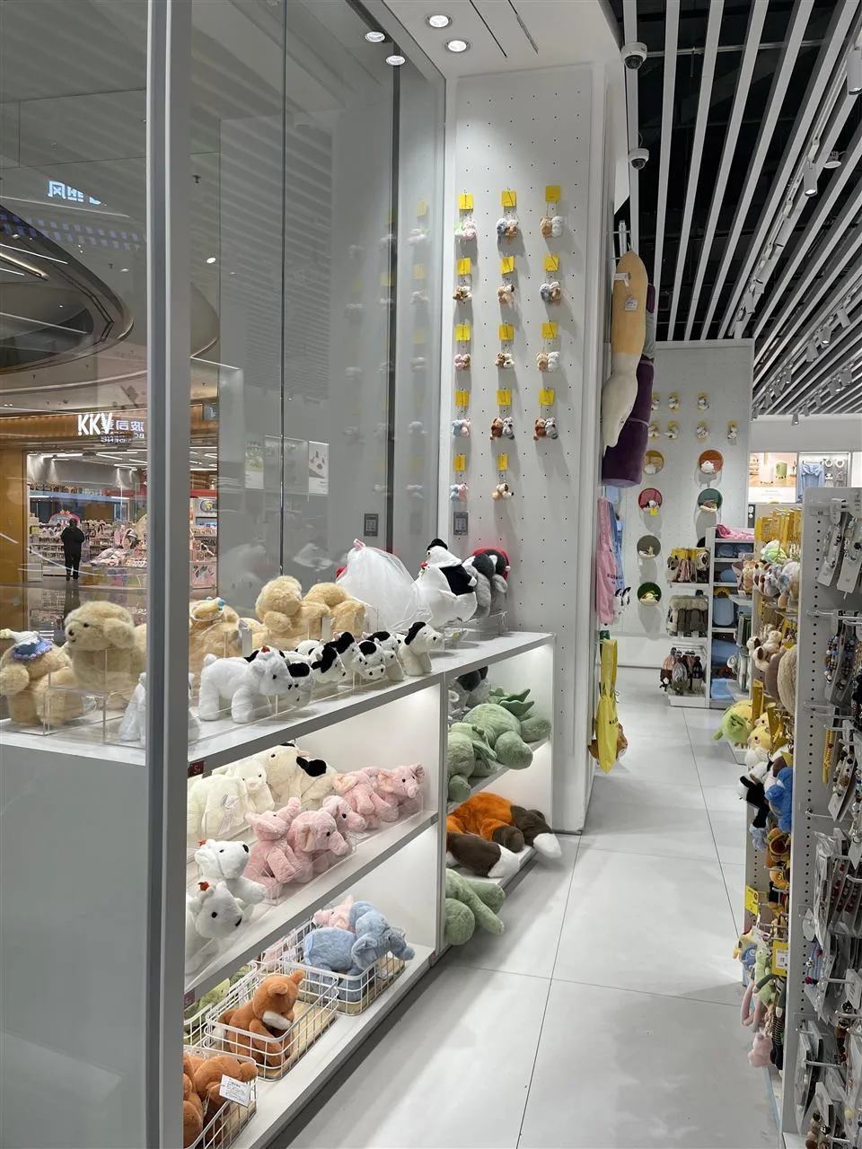Beauty & Lifestyle Display owner-supplied planning reference